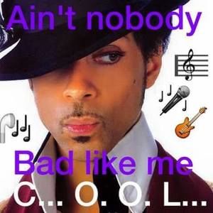 Meet your Posher, Marie